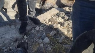 One Person Arrested within the Case on Murder Committed in Merdzavan